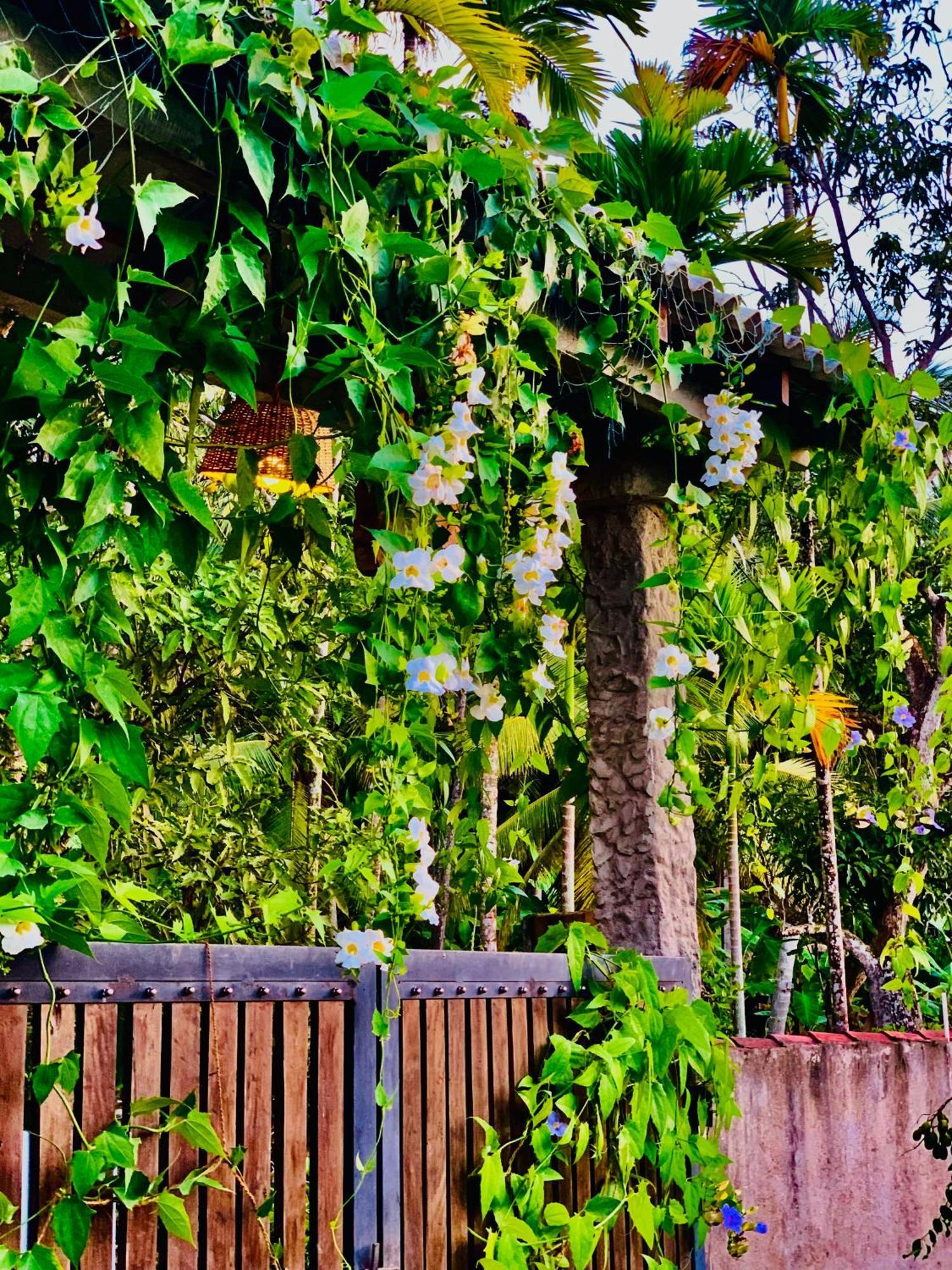 Ashok Villa Weligama Exterior foto
