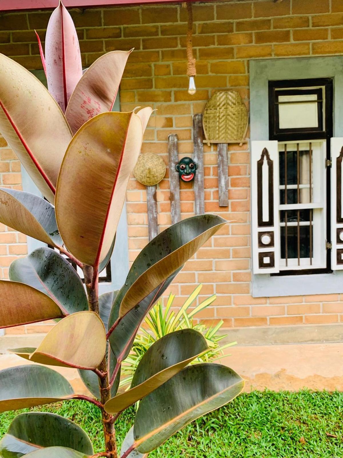 Ashok Villa Weligama Exterior foto