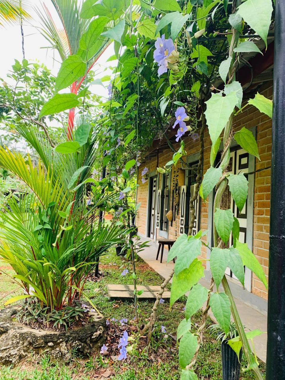Ashok Villa Weligama Exterior foto