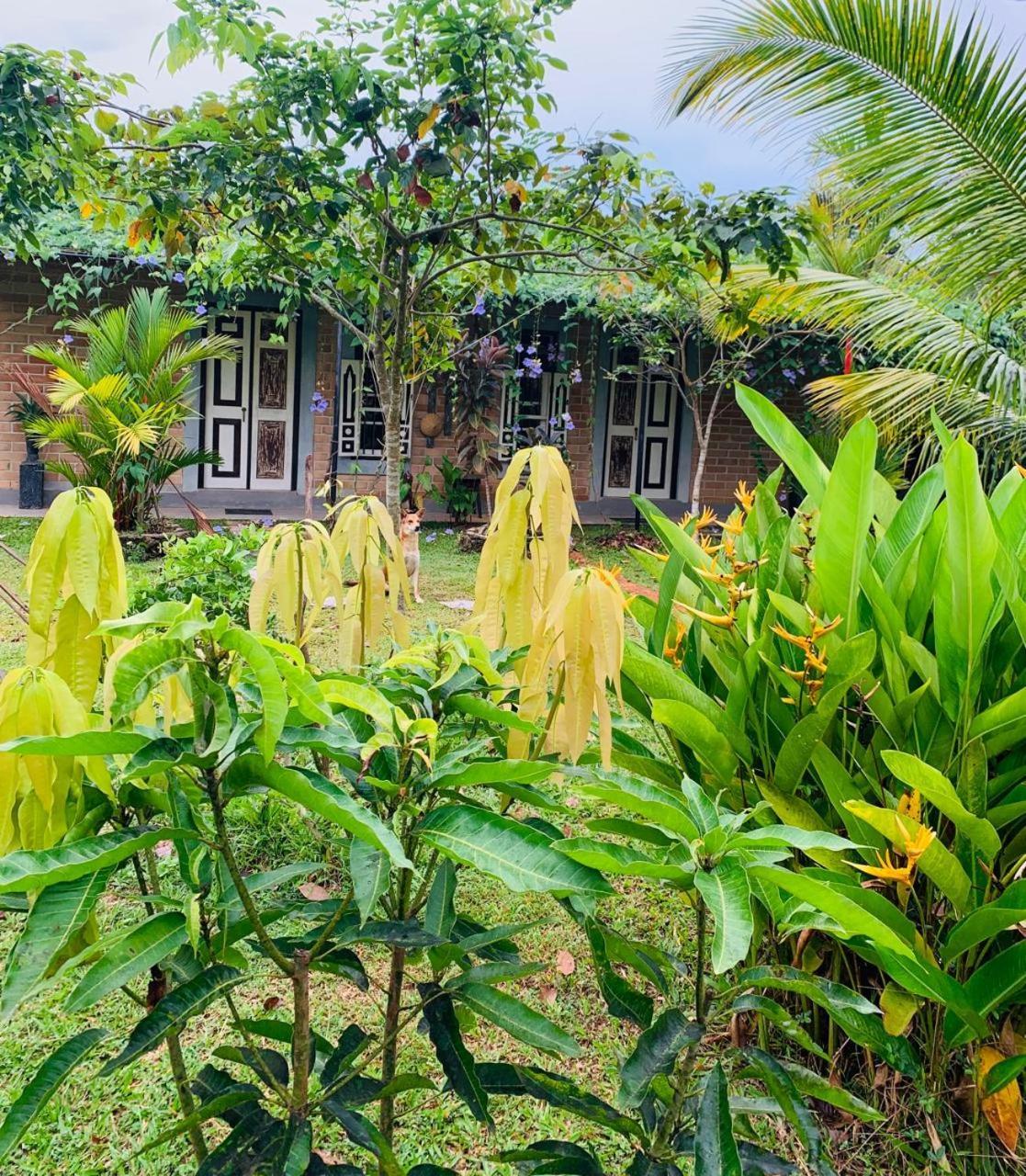 Ashok Villa Weligama Exterior foto