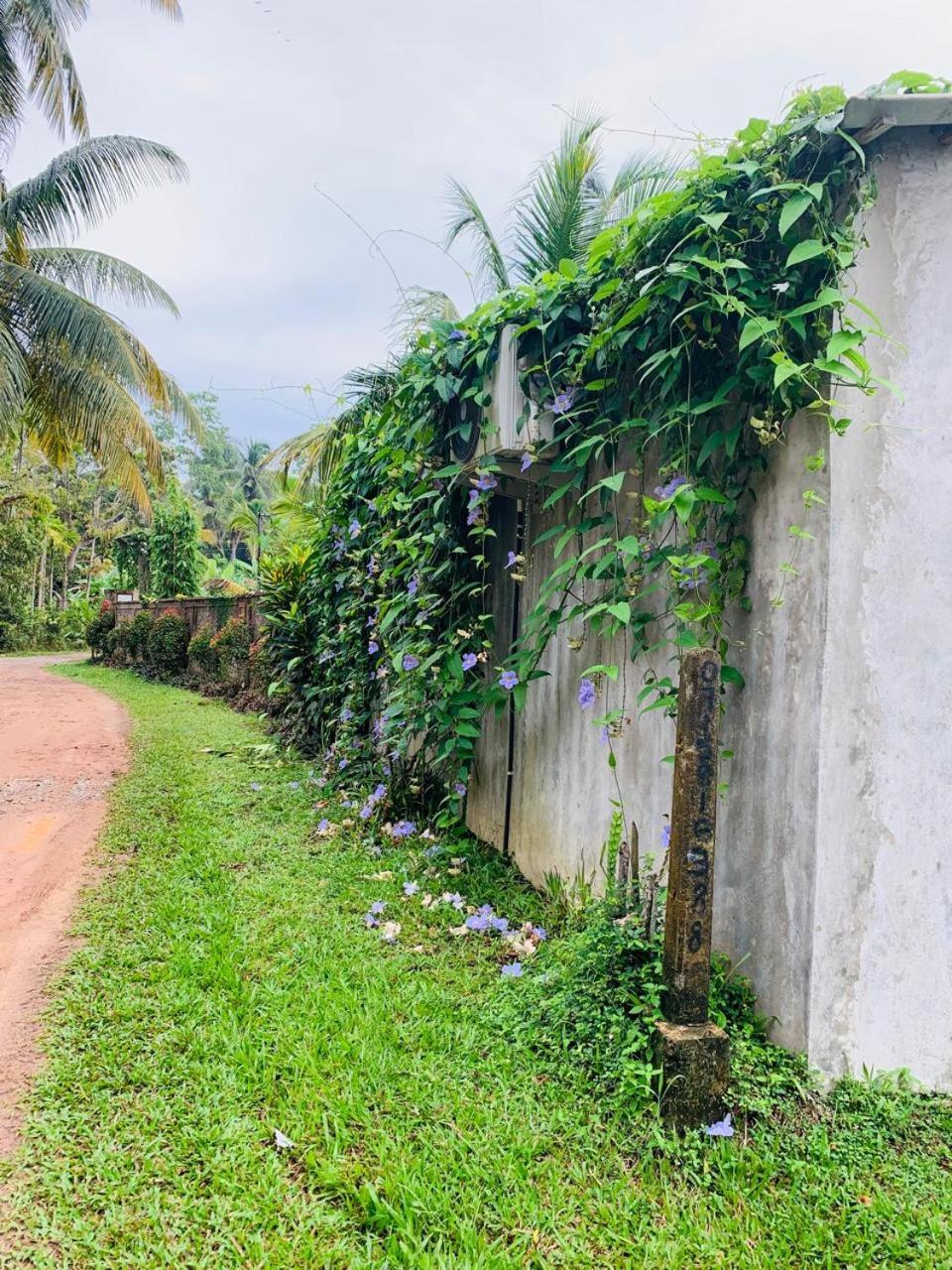 Ashok Villa Weligama Exterior foto